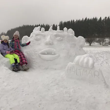 Апартаменты Haltmar Остружна