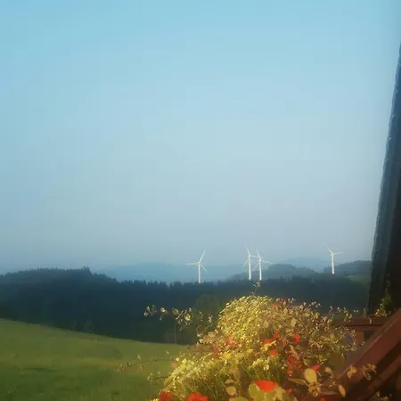 Haltmar * Ostružná