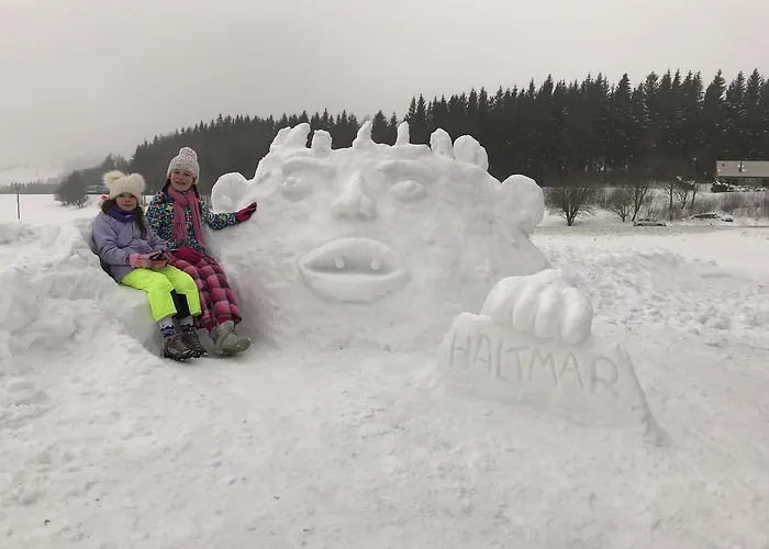 Апартаменты Haltmar Остружна